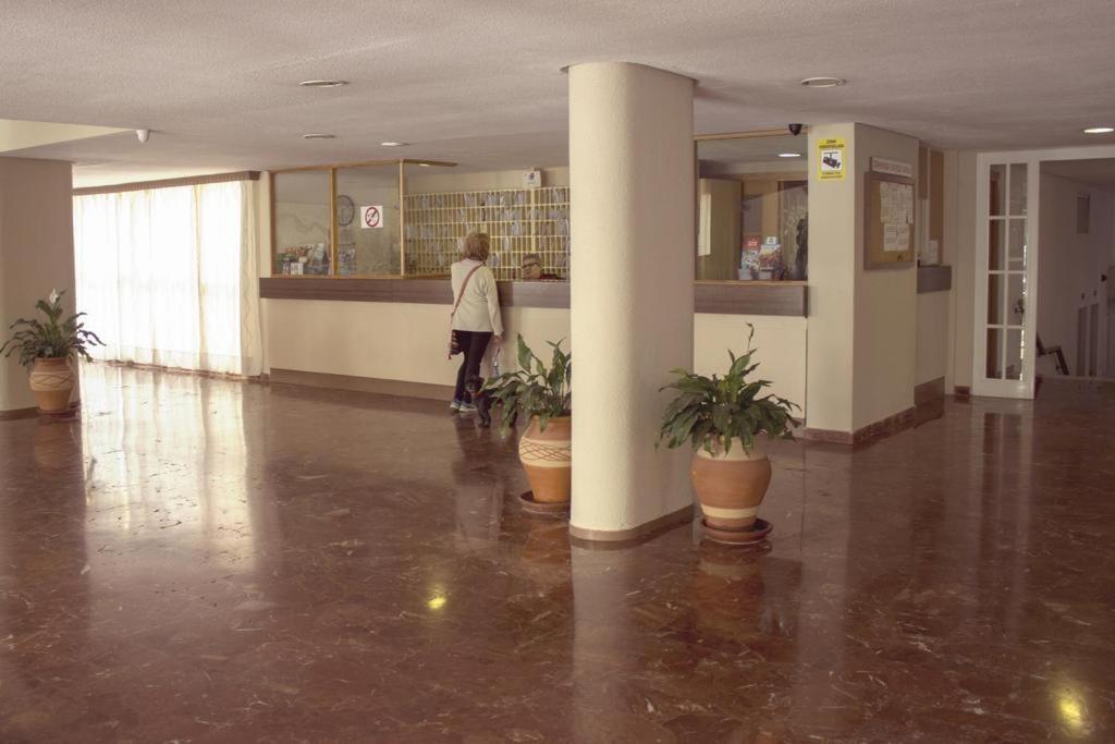 águila Con Vistas Al Jardin