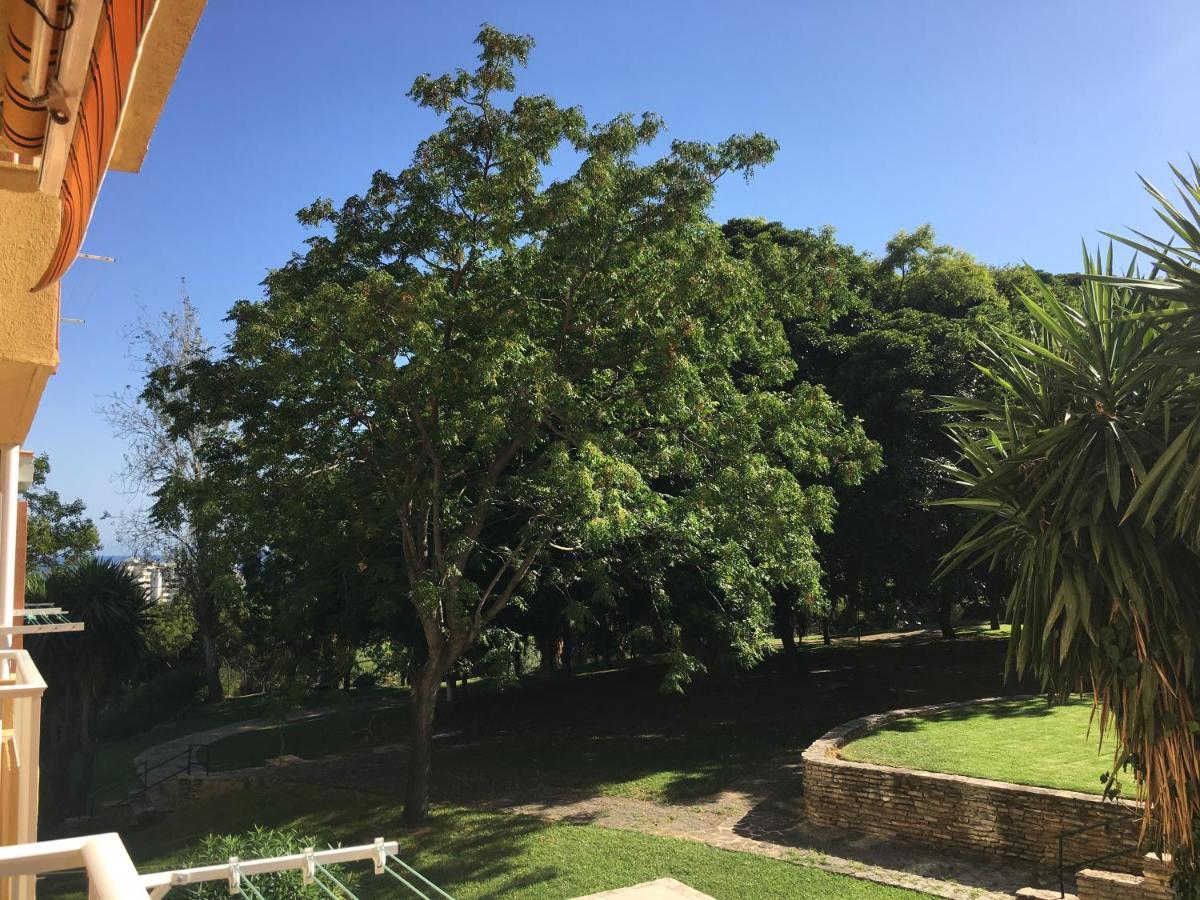 águila Con Vistas Al Jardin Apartamento